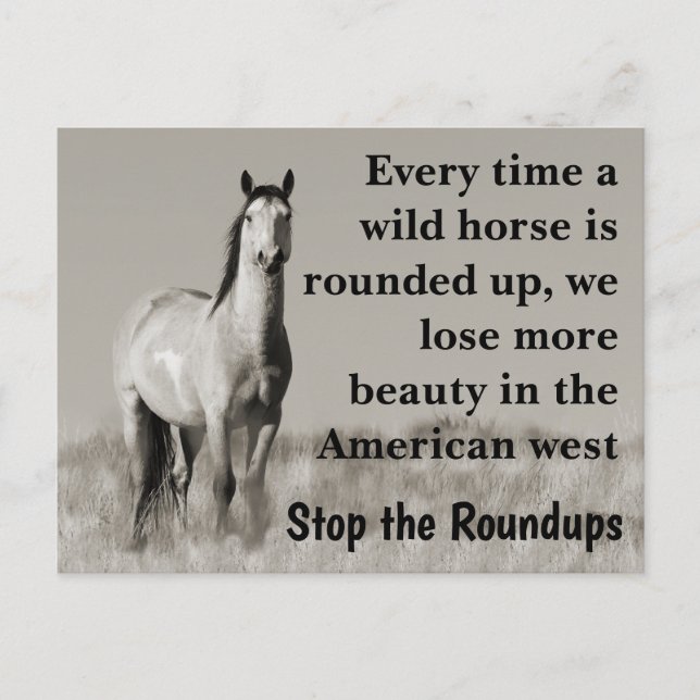 Save Our Wild Horses Postcard (Front)