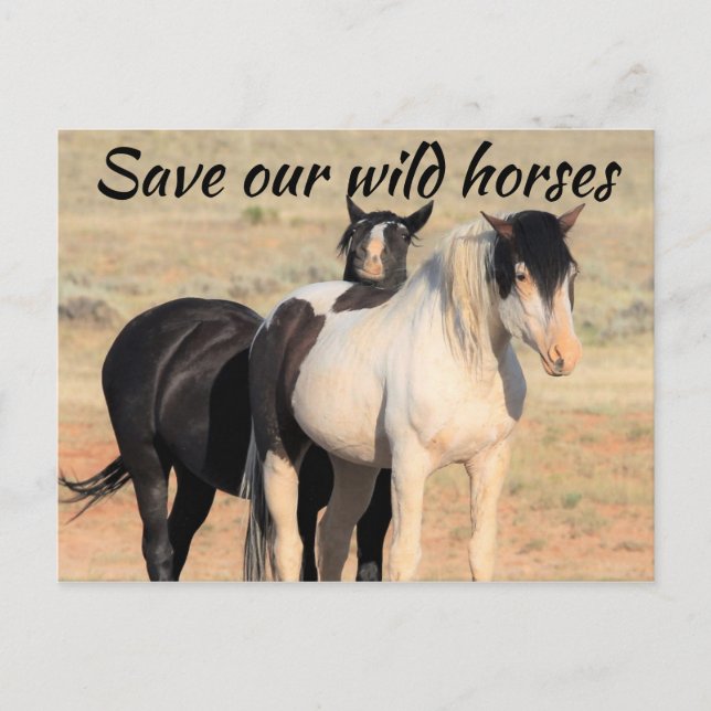 Save Our Wild Horses Postcard (Front)