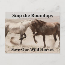 Save Our Wild Horses