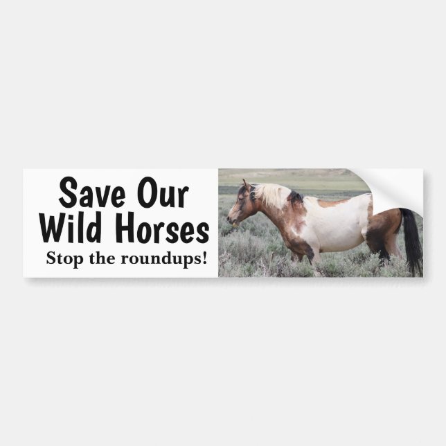 Save Our Wild Horses Traveller  Bumper Sticker (Front)