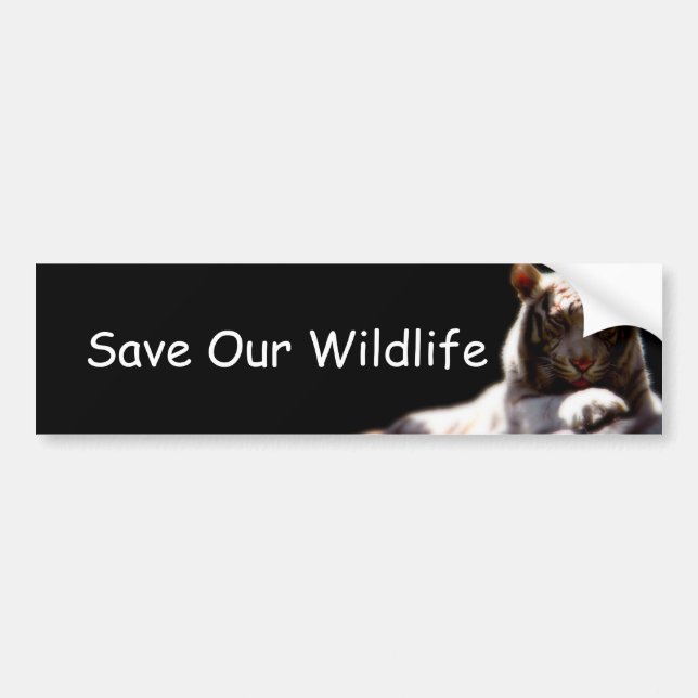 Save Our Wildlife Tiger Bumper Sticker (Front)