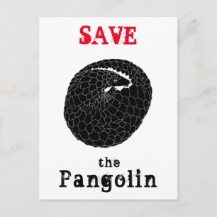 Save Pangolin Endangered species Animal Monochrome Postcard