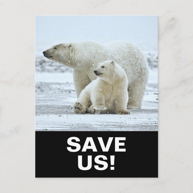Save  Polar Bears Climate Activism Slogan on Black Postcard (Front)