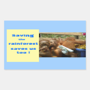 Save Rainforest and Cute Baby Orangutans Rectangular Sticker
