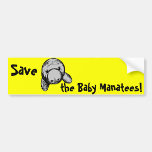 Save the Baby Manatees! Bumper Sticker