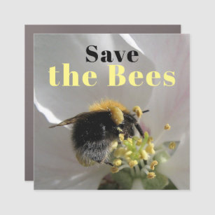 Save the Bees Bumble Bee Car Magnet