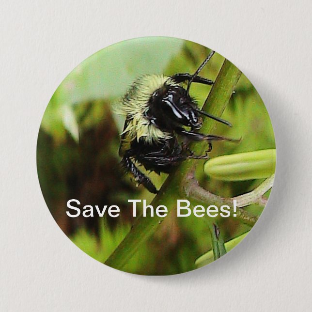 Save The Bees Button (Front)