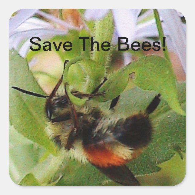 Save The Bees Macro Photo Sticker (Front)