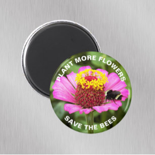 Save the Bees Pink Zinnia Flower  Magnet