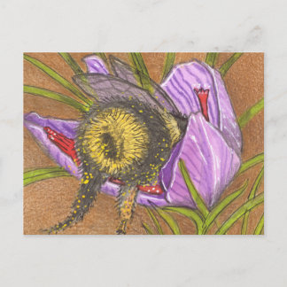 Save the Bees, sweet Spring Bumble Bee Postcard
