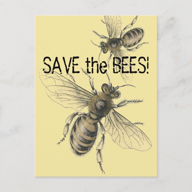 Save the Bees Vintage Bee Images Postcard (Front)