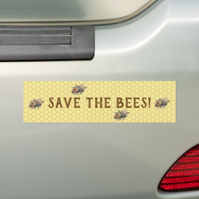 Save the Bees |  Vintage Honeybee & Honeycomb Bumper Sticker (On Car)