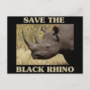 Save the Black Rhino Postcard