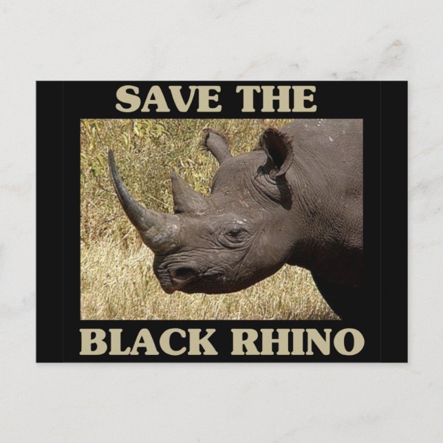 Save the Black Rhino Postcard (Front)