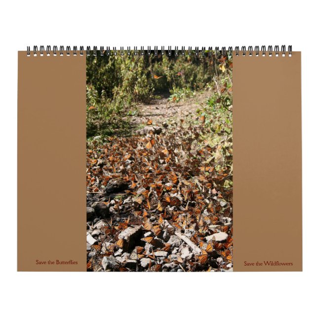 Save the Butterflies 2023 Calendar (Cover)