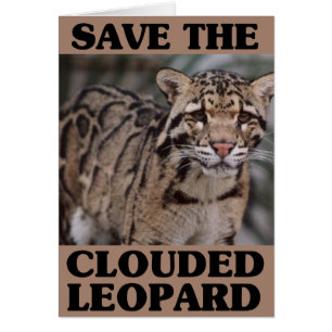 Save the Clouded Leopard