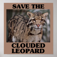 Save the Clouded Leopard