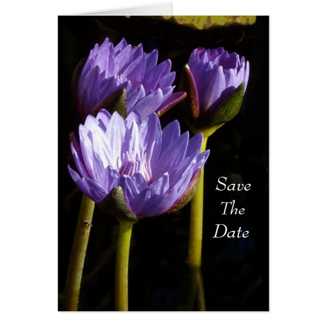 Save The Date (Front)