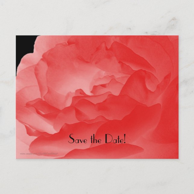 Save the Date 50th Birthday Party Coral Pink Rose Announcement Postcard (Front)