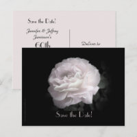 Save the Date 60th Anniversary Party Elegant Rose 