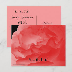 Save the Date 60th Birthday Party Coral Pink Rose Announcement Postcard
