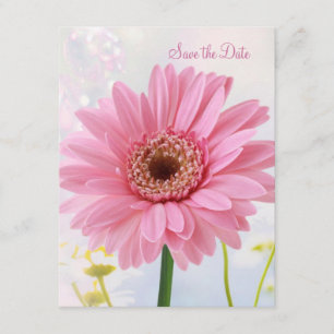 Save the date announcement - Pink gerbera