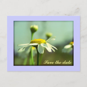 Save the date announcement postcard