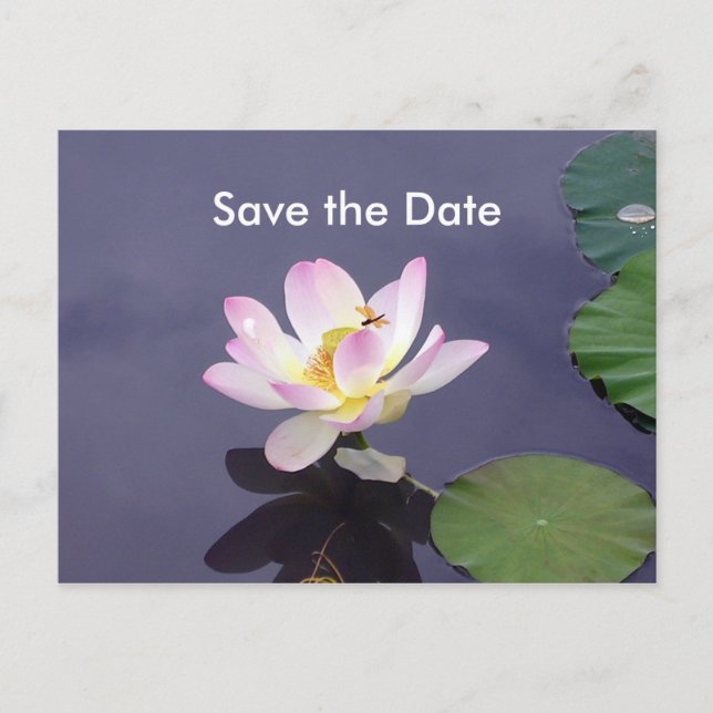 Save the Date Announcement Postcard (Front)