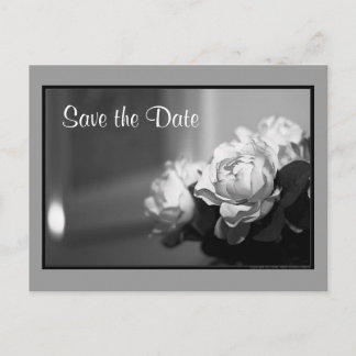 Save the Date Announcement Postcard