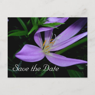 Save the Date Announcement Postcard
