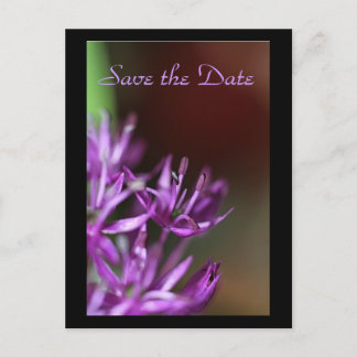, Save the Date Announcement Postcard