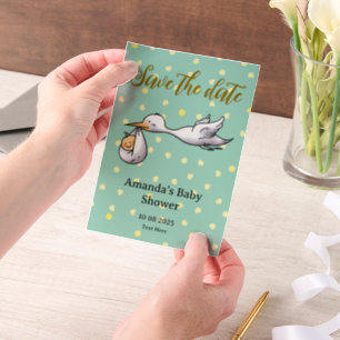 Save the date baby shower vellum invitations