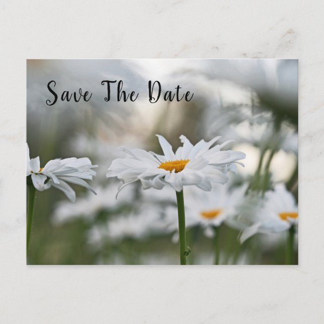 Save The Date Birthday Announcement Postcard (Front)