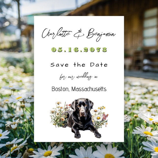 Save the Date Black Lab Wedding Announcement (Creator Uploaded)