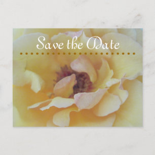 Save The Date Cards