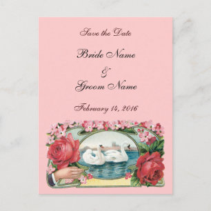 Save the Date Custom Roses and Swans Postcard
