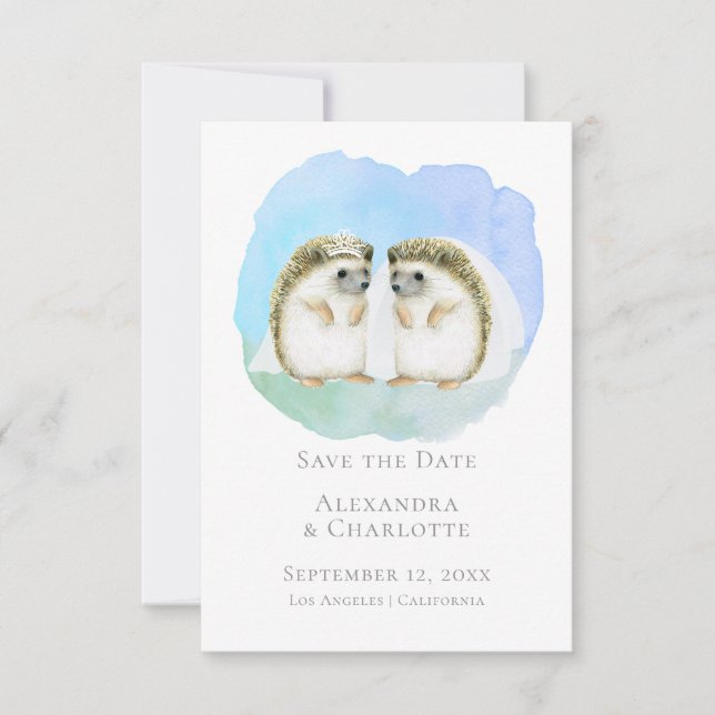 Save The Date Cute Lesbian Hedgehog Couple Wedding (Front)