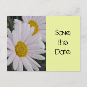save the date,daisy flowers announcement postcard
