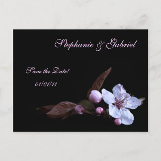 Save the Date Delicate Floral Postcards - Dark