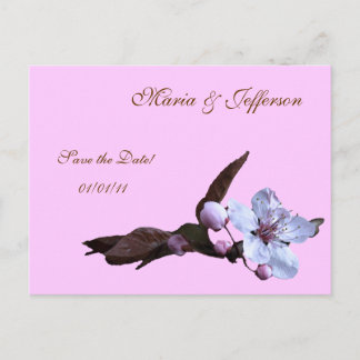 Save the Date Delicate Floral Postcards - Light