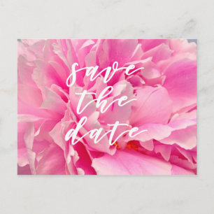 Save the Date! Elegant Pink Peonies Postcard