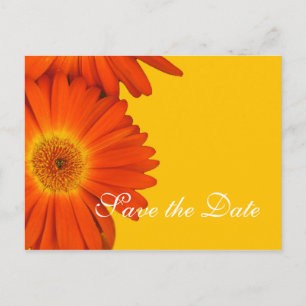 save the date, gerbera daisy flowers announcement postcard