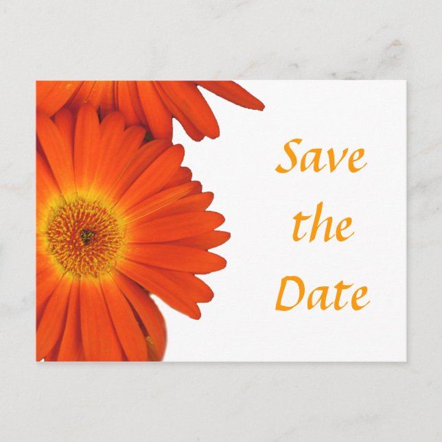 save the date, gerbera daisy flowers announcement postcard (Front)