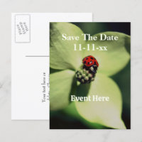 Save The Date Ladybug On Flower