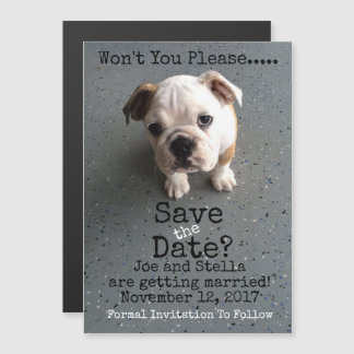 Save The Date Magnetic Magnetic Invitation