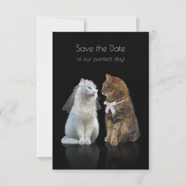 Save the Date of our Purr-fect Day! (Front)
