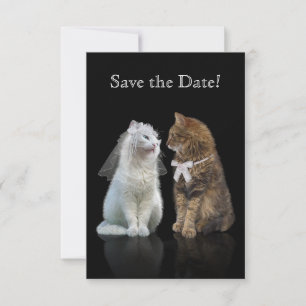 Save the Date of our Purr-fect Day!
