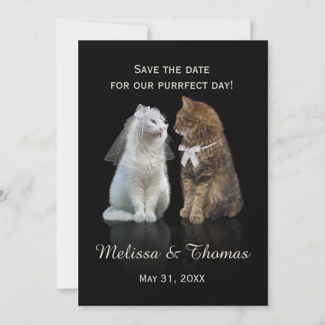 Save the Date of our Purrfect Day (Front)