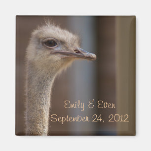 Save the Date Ostrich Photo Magnet