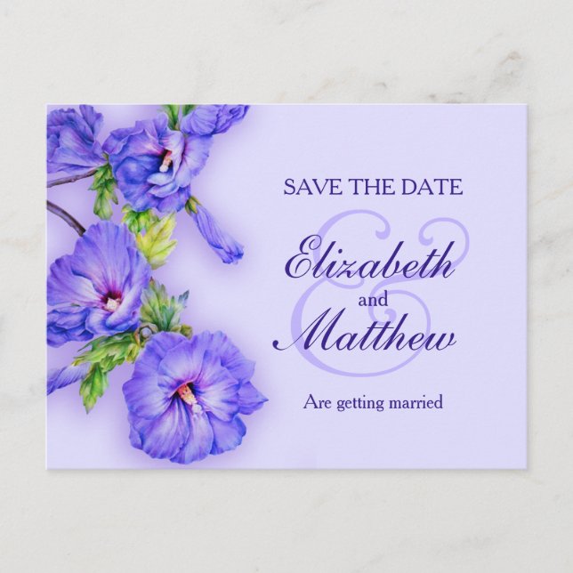 Save the Date painted purple blue hibiscus Announcement Postcard (Front)